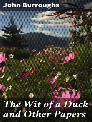 cover image of The Wit of a Duck and Other Papers